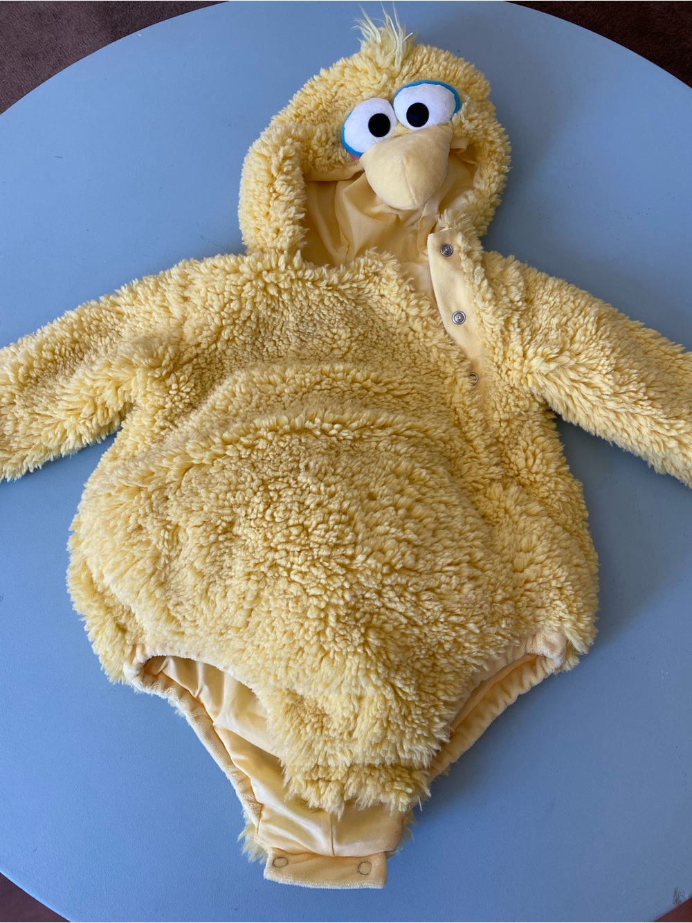 Pottery Barn Kids Big Bird Sesame Street Baby Costume